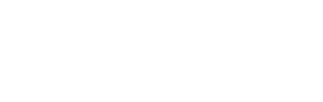 veloxvideo